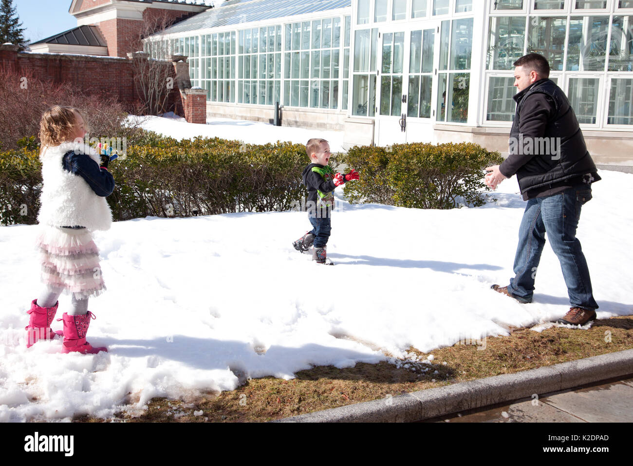 a father and his daughter and son have a snowball fight, smiling outside in the winter Stock Photo