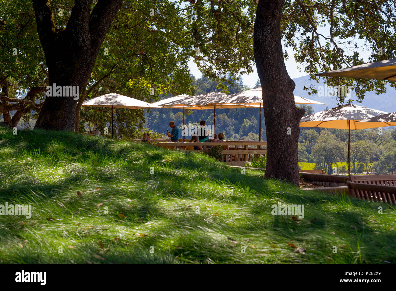 people, tourists, wine tasting, seated wine tasting, outdoor terrace, tasting room, Joseph Phelps Vineyards, Saint Helena, Napa Valley, California Stock Photo