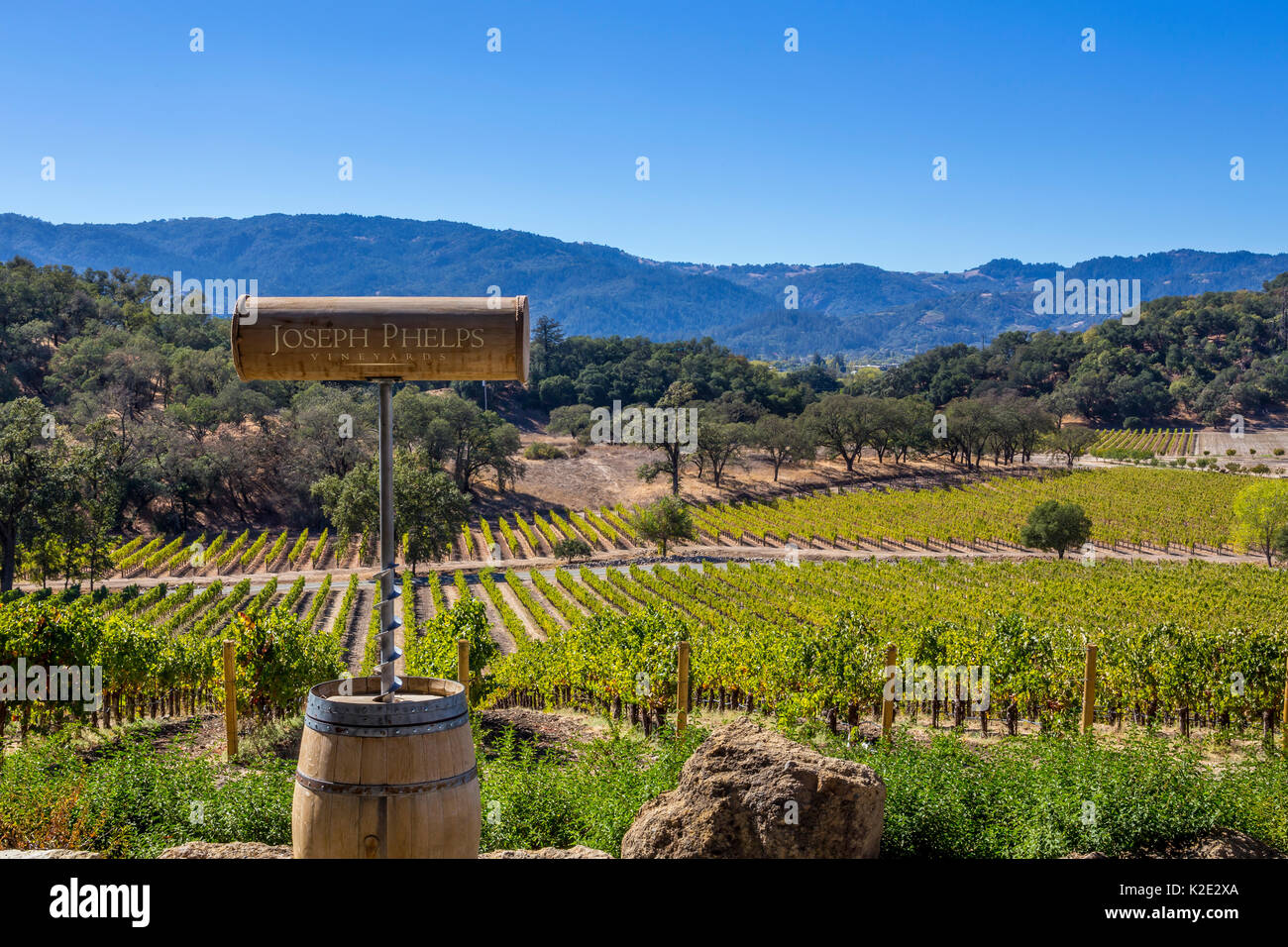 grape vineyard, grape vineyards, vineyards, view from outdoor tasting terrace, Joseph Phelps Vineyards, Saint Helena, Napa Valley, California Stock Photo