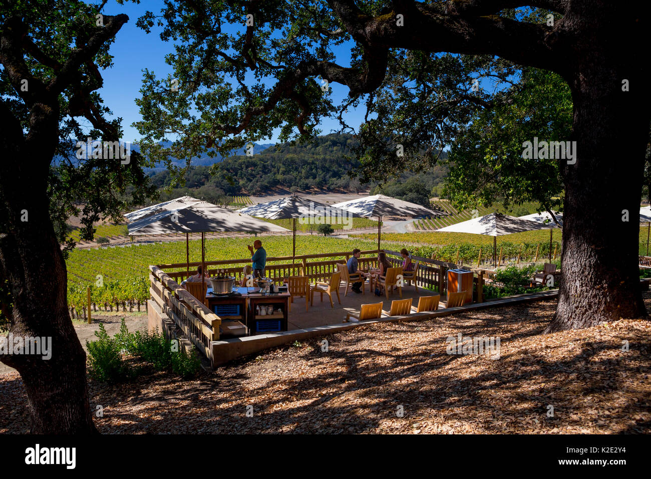 people, tourists, wine tasting, seated wine tasting, outdoor terrace