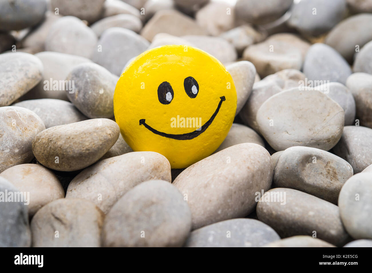 Smiley face made of stone, painted yellow, laughing, lies in between stones Stock Photo