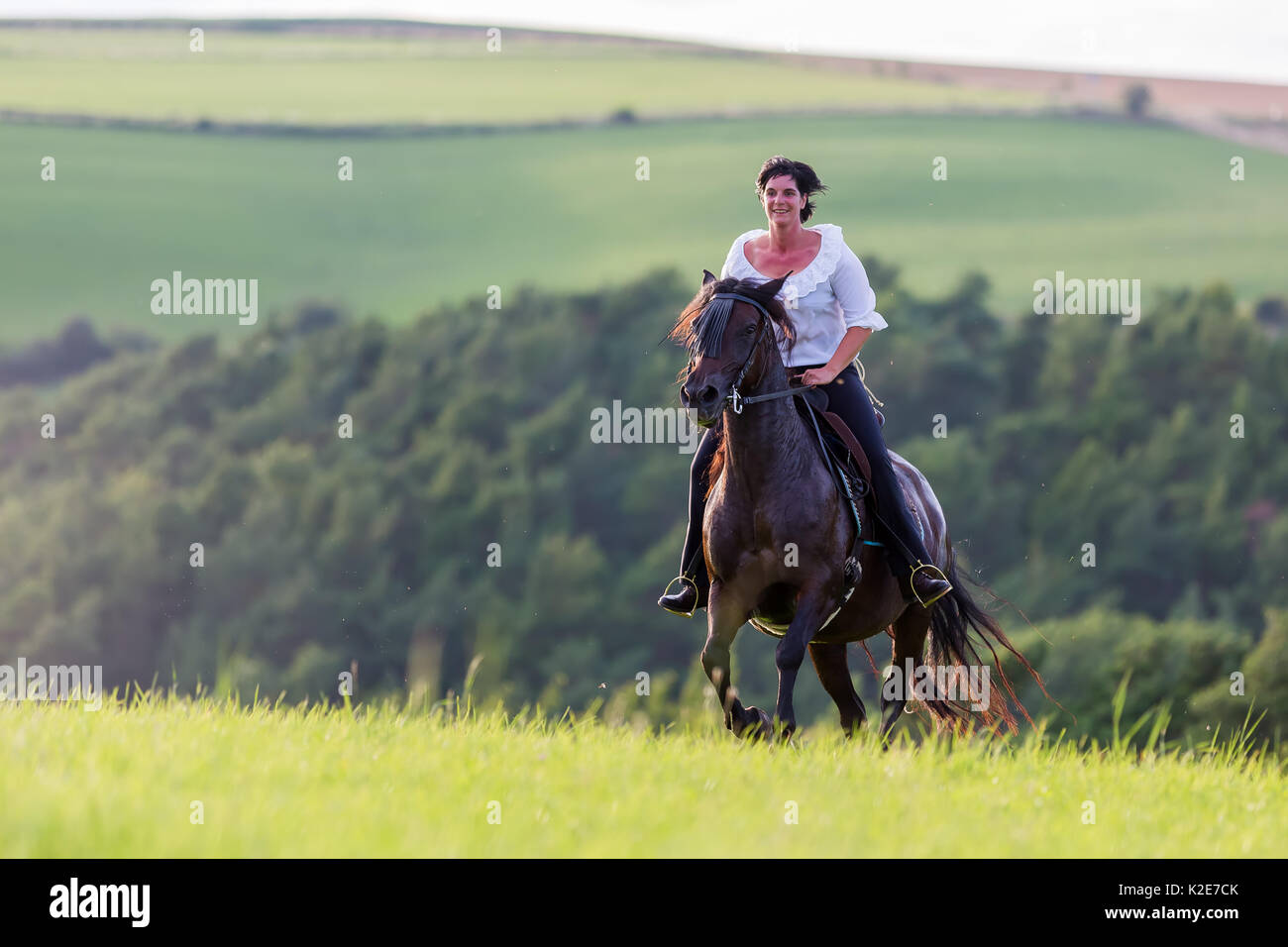 mature woman riding an Andalusian horse in a country landscape Stock Photo