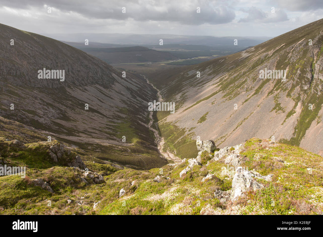 View into Coire Garbhlach, Glenfeshie, Cairngorms National Park, Scotland, UK, August 2013. Stock Photo