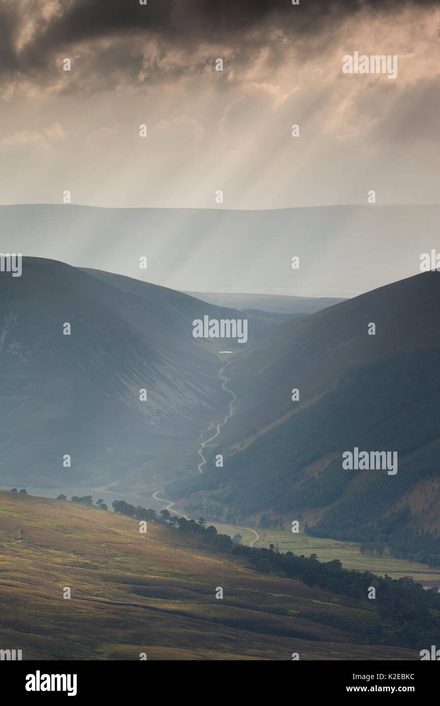 Shafts of light over Glenfeshie, Cairngorms National Park, Scotland, UK, September 2013. Stock Photo