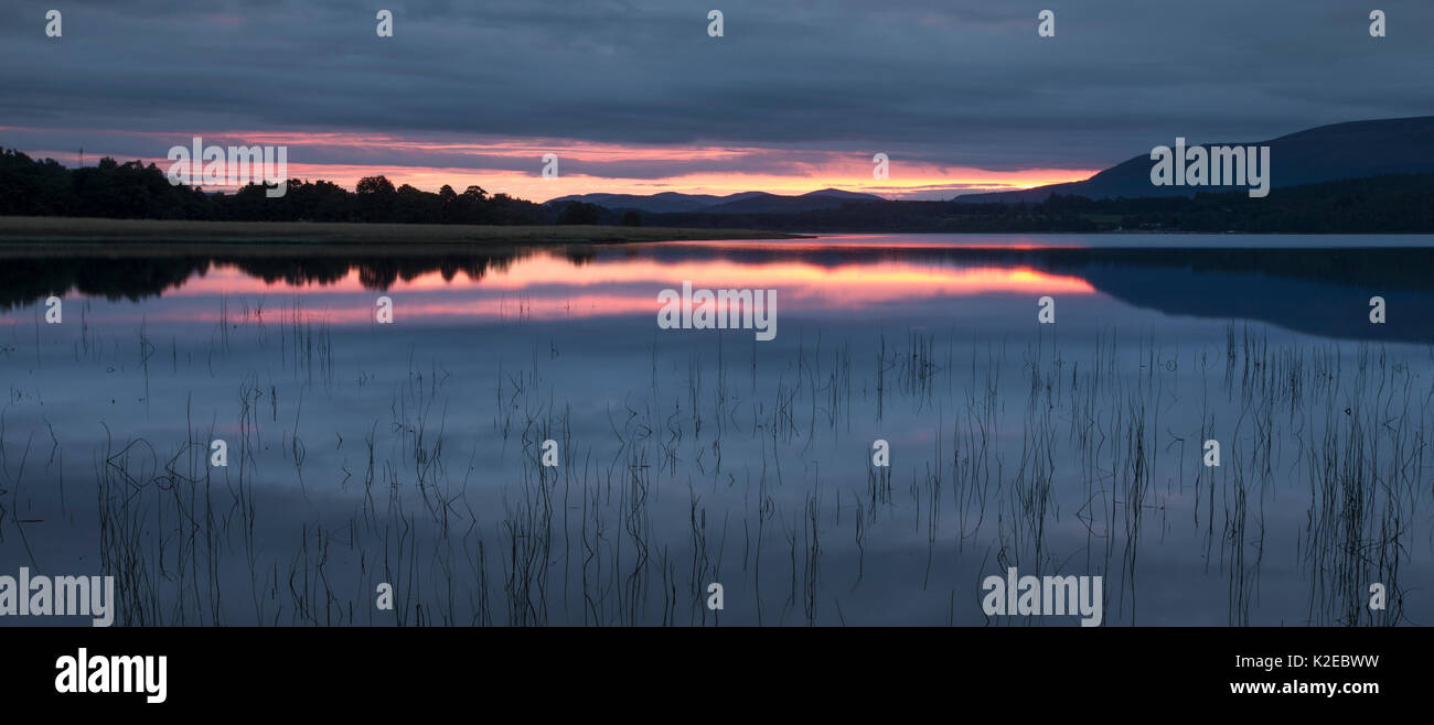 Loch Insh at dawn, Cairngorms National Park, Scotland, UK, September 2014. Stock Photo