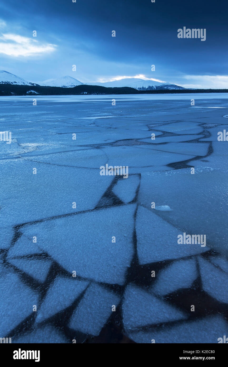 Frozen Loch Morlich at twilight with mountains in distance, Cairngorms National Park, Scotland, UK, January 2015. Stock Photo