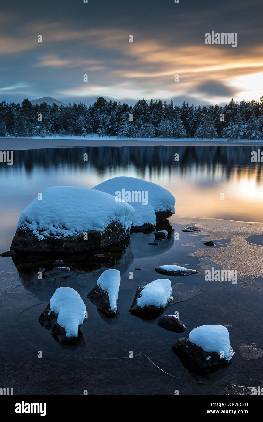 Partially frozen Loch Morlich at sunset, Glenmore, Cairngorms National Park, Scotland, UK, February 2015. Stock Photo