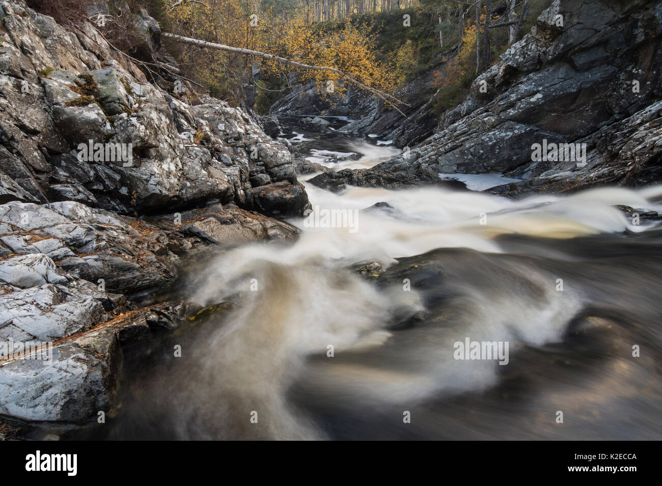 River Affric running through rocky gorge, Glen Affric, Highlands, Scotland, UK, October 2015. Stock Photo