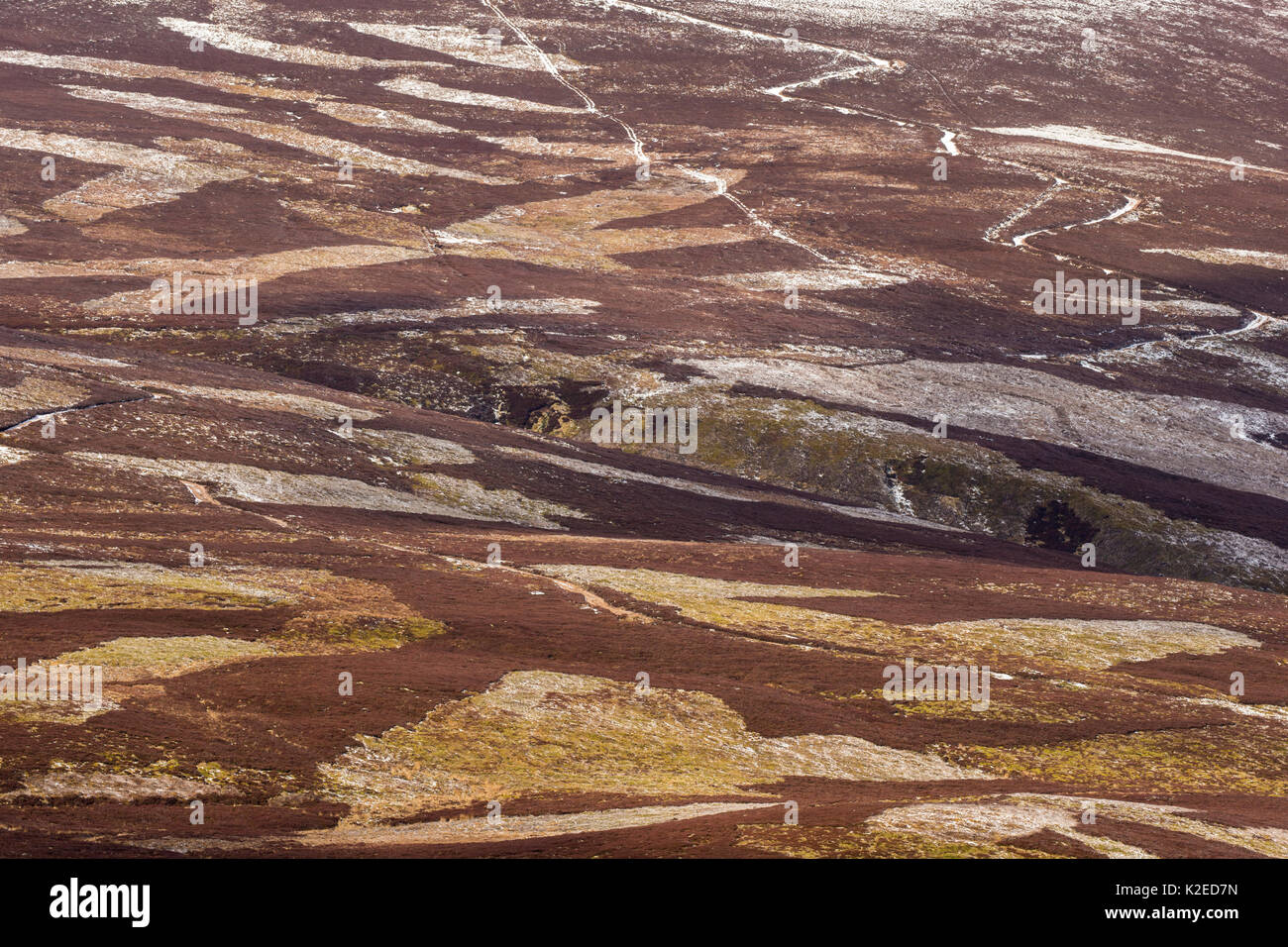 Patchwork of upland heather moorland on grouse shooting estate, northern Scotland, UK, April 2016. northern Scotland, UK, April 2016. Stock Photo