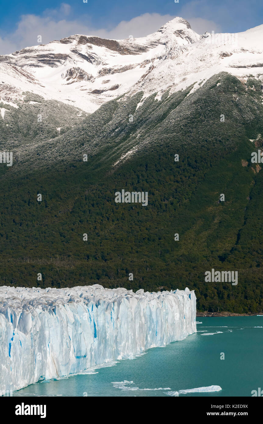Perito Moreno Glacier, Los Glaciares National Park, Santa Cruz, Patagonia, Argentina. February 2010. Stock Photo