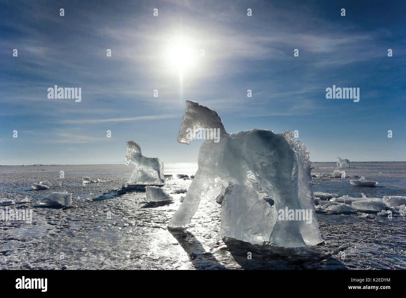 Ice sculpture of horses melting on Lake Baikal, Siberia, Russia. March