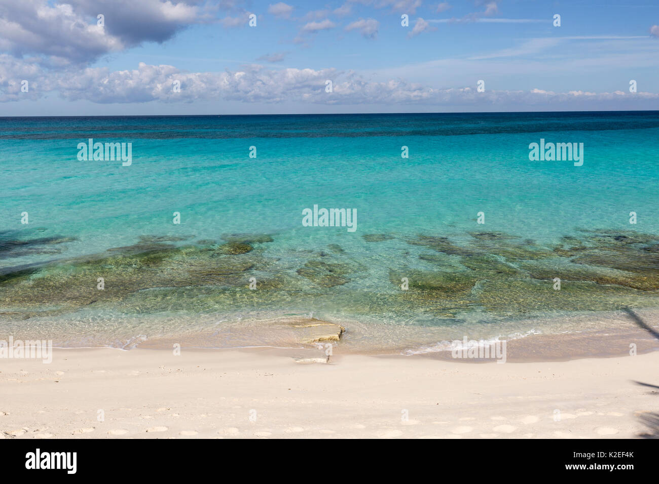 Calm sea and beach, South Bimini, Bahamas. The Bahamas National Shark Sanctuary, West Atlantic Ocean. Stock Photo