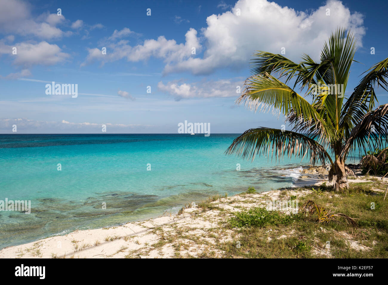 Calm sea and beach with a boat in the distance, South Bimini, Bahamas. The Bahamas National Shark Sanctuary, West Atlantic Ocean. Stock Photo