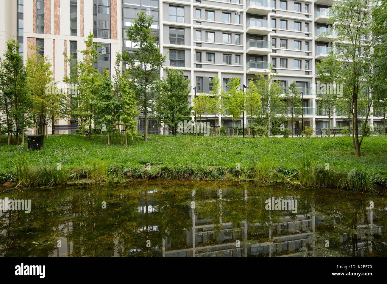 Environmental enrichment designed into housing estate, with wildlife pond and green space, East Village housing at site of Olympic Village, Stratford, London, UK 2014 Stock Photo