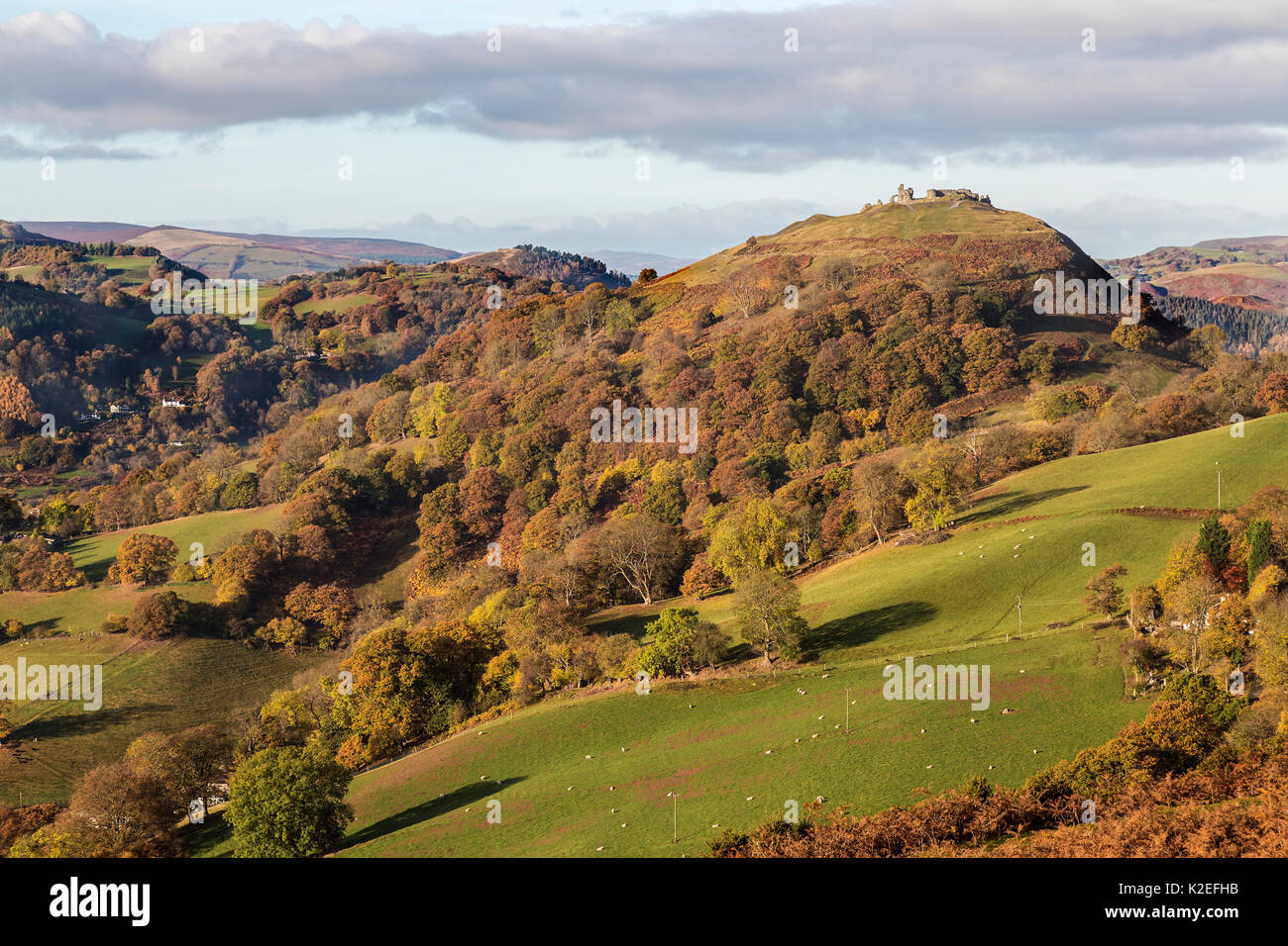Castell Dinas Bran looking west from the Panorama walk on the Offa's Dyke path on Ruabon Mountain near Llangollen, North Wales UK, November 2016. Stock Photo