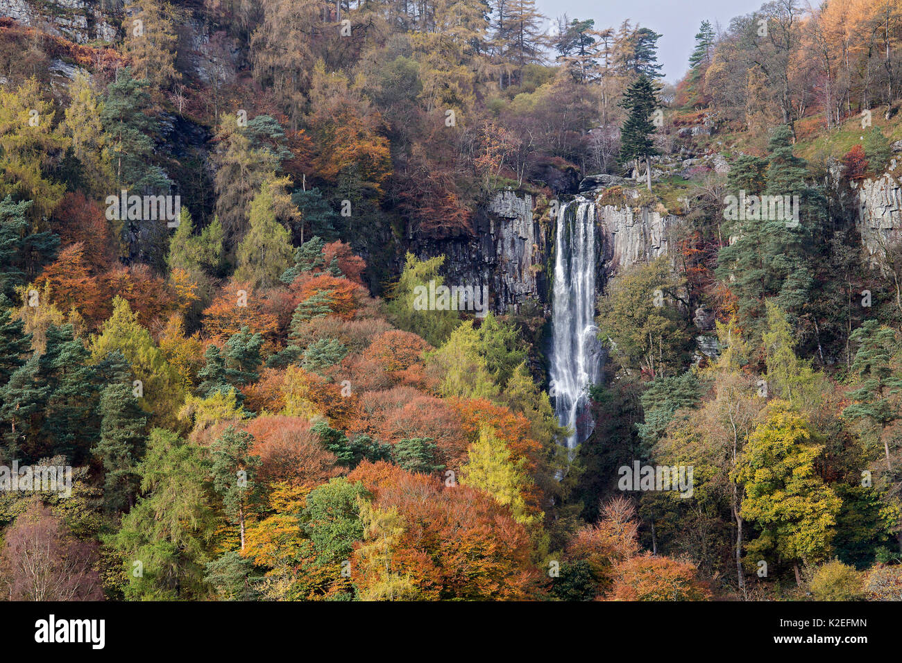 Pistyll Rhaeadr waterfall in autumn - highest in Wales near Llanrhaeadr-ym-Mochnant, Powys, North Wales, UK, November 2016. Stock Photo
