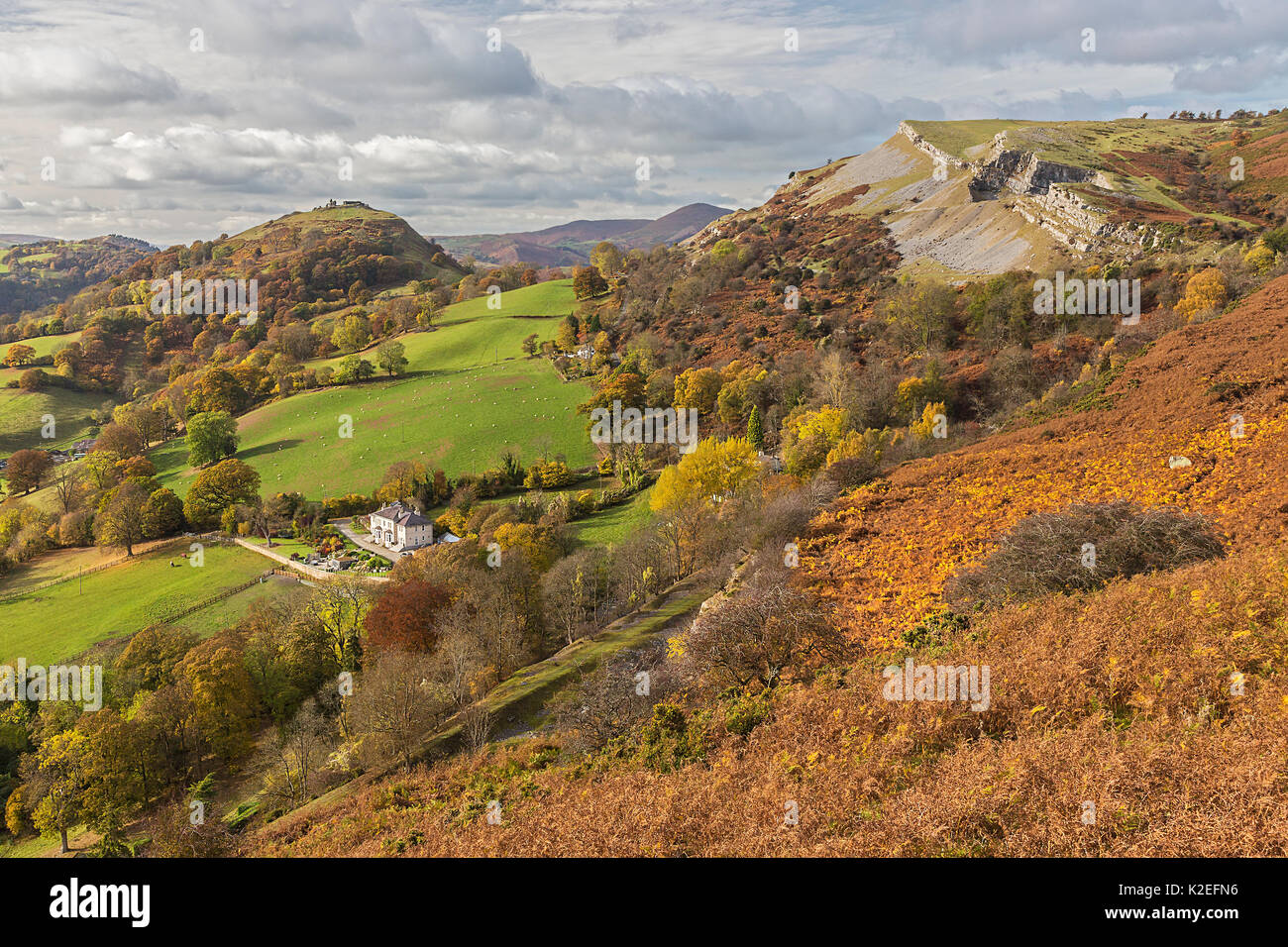 Looking west from the Panorama walk on the Offa's Dyke path on Ruabon Mountain near LLangollen with Castell Dinas Bran at the top of the hill centre left and the Eglwyseg limestone escarpment on the right North Wales, UK, November 2016. Stock Photo