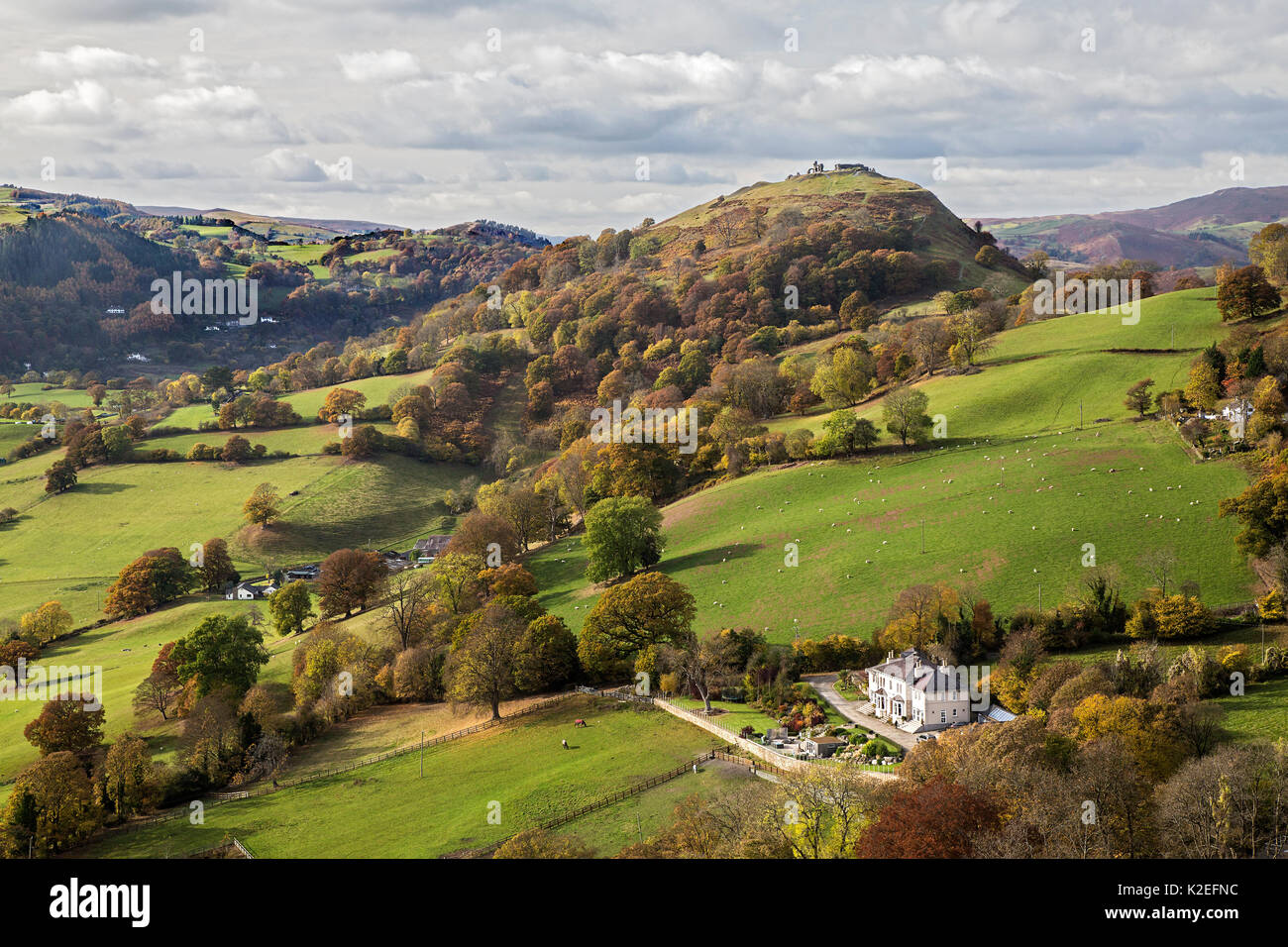 View west from the Panorama walk on the Offa's Dyke path on Ruabon Mountain showing the ruins of Castell Dinas Bran on top of hill near LLangollen North Wales, UK, November 2016. Stock Photo