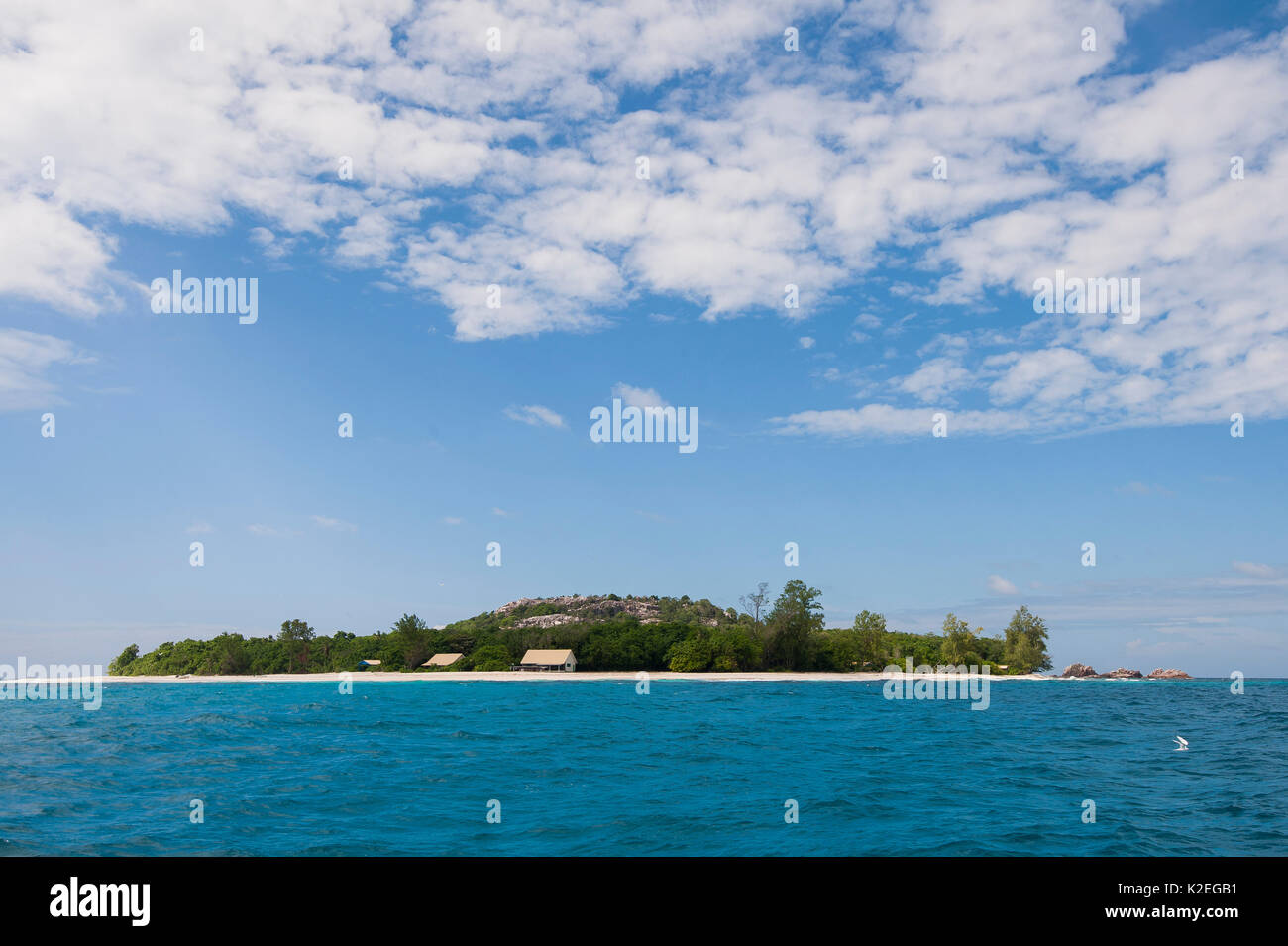 Cousin Island Nature Reserve, one of the few remaining rat-free islands of the inner Seychelles, off the south-west coast of Praslin Island, Republic of Seychelles Stock Photo