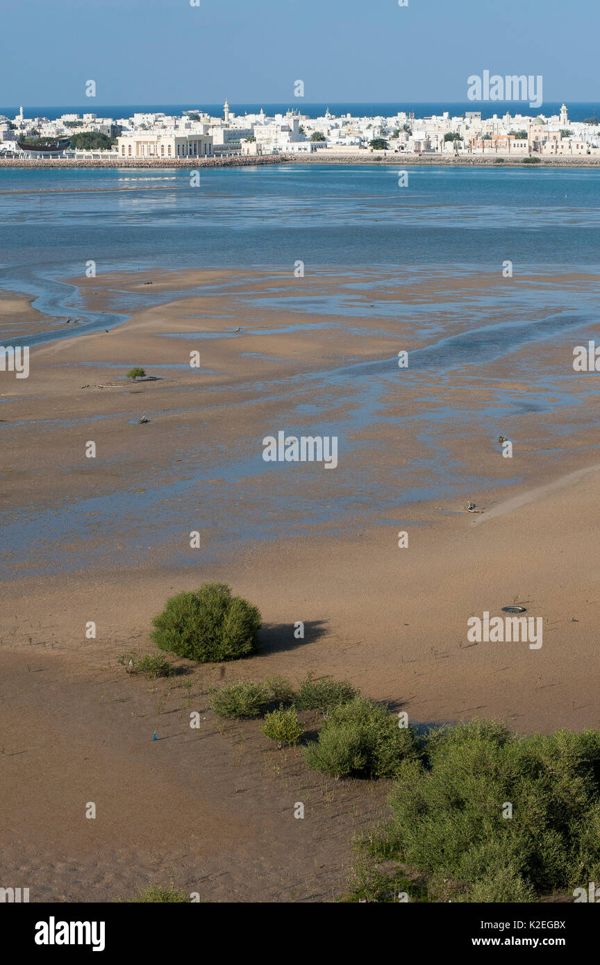 Sur, a city at the coast of Oman, with tidal mudflats and sand banks, Sultanate of Oman, February. Stock Photo