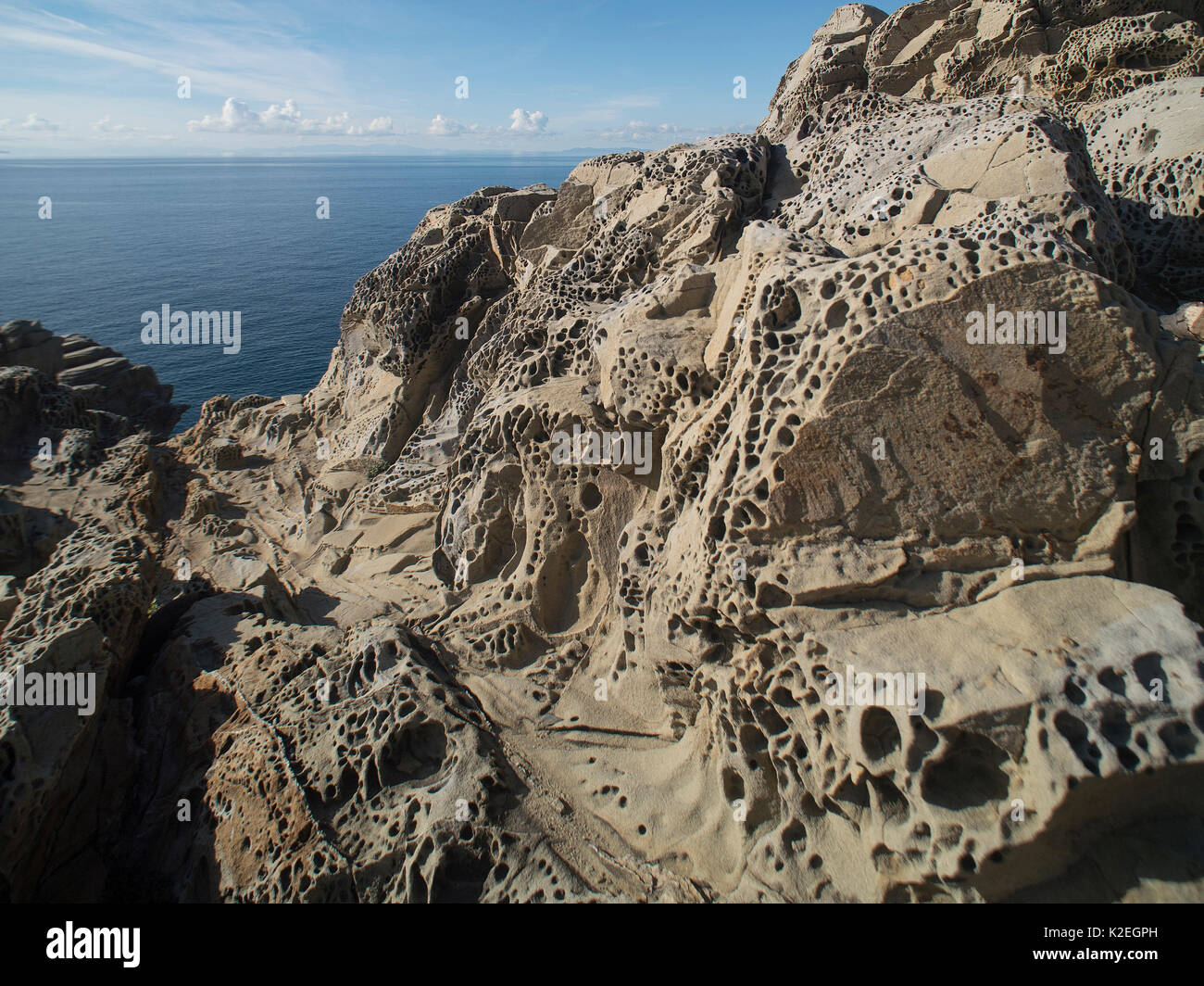 Honeycomb erosion in sandstone - sometimes called 'Tafoni'. They are caused by the evaporation of salt water - the salt crystals then loosen sandstone particles which are eroded by wind and rain. The process can be accelerated by freeze-thaw cycles in some regions. Near Populonia. Tuscan Coast, Italy. Stock Photo