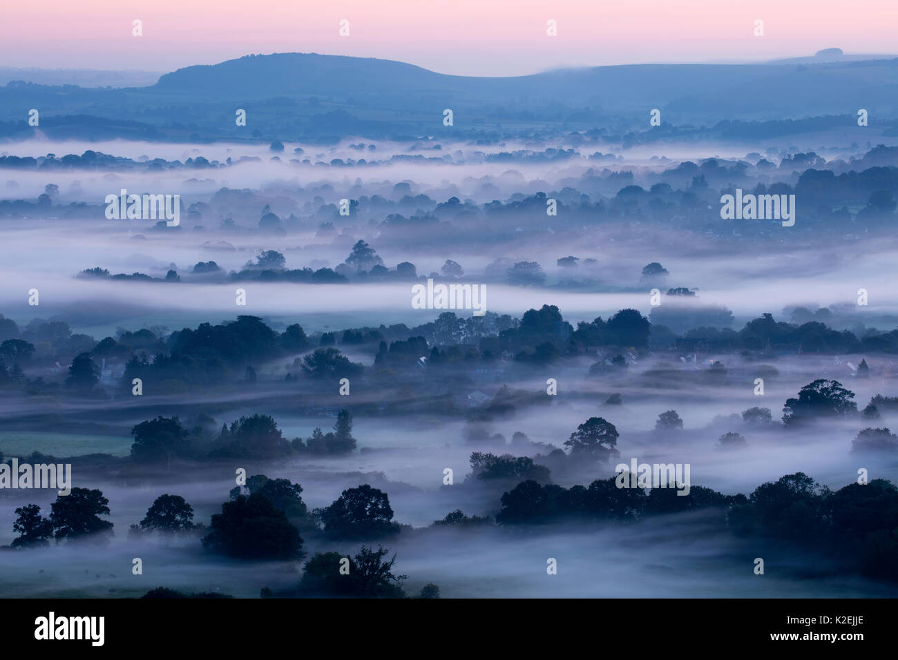 Misty morning in the Blackmore Vale, Dorset, England, UK, September 2015. Stock Photo