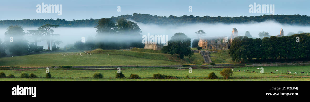 Panoramic of Old Sherborne Castle in the mist at dawn, Dorset, England, UK, August 2014. Stock Photo