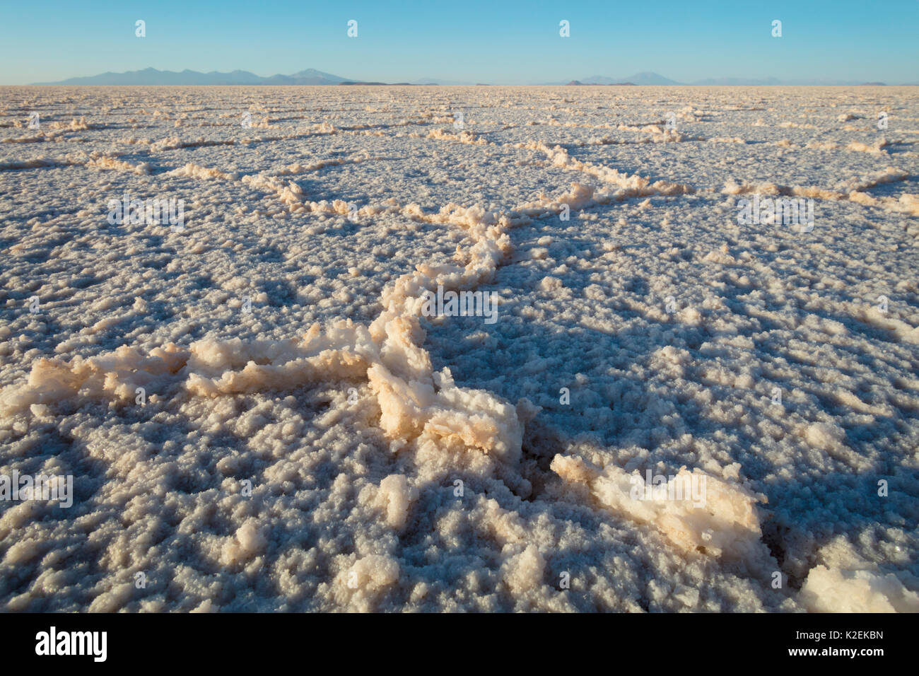 Salt crystals on surface of Salar de Uyuni Salt Pan. Bolivia. December 2016. Stock Photo