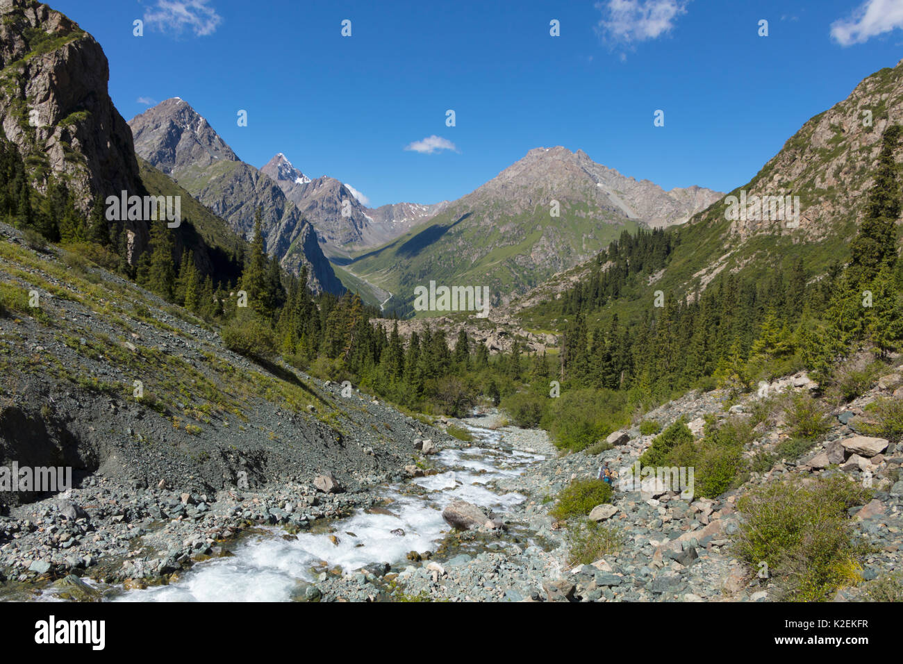 Terskey Alatau Mountains, Karakol, Kyrgyzstan. August 2016. Stock Photo