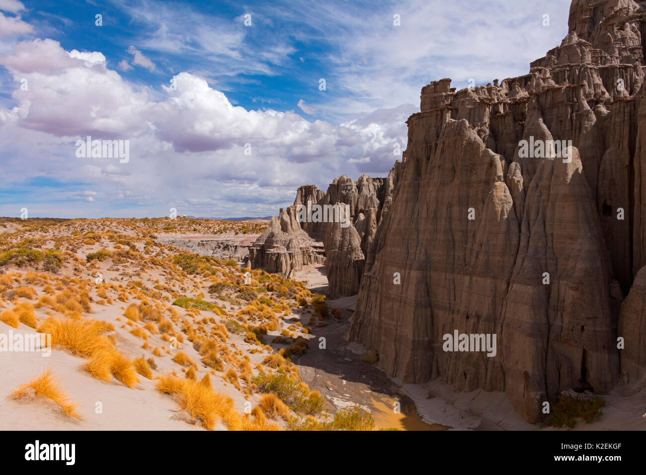 Rock pinnacles with Tussock grass (Festuca orthophylla)., Ciudad del Encanto, Bolivia. Stock Photo