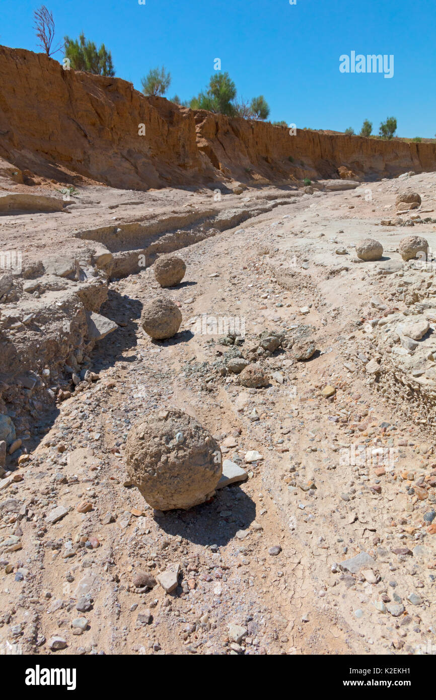 Mud balls in dried up river bed. Altyn Emel National Park. Kazakhstan. Stock Photo