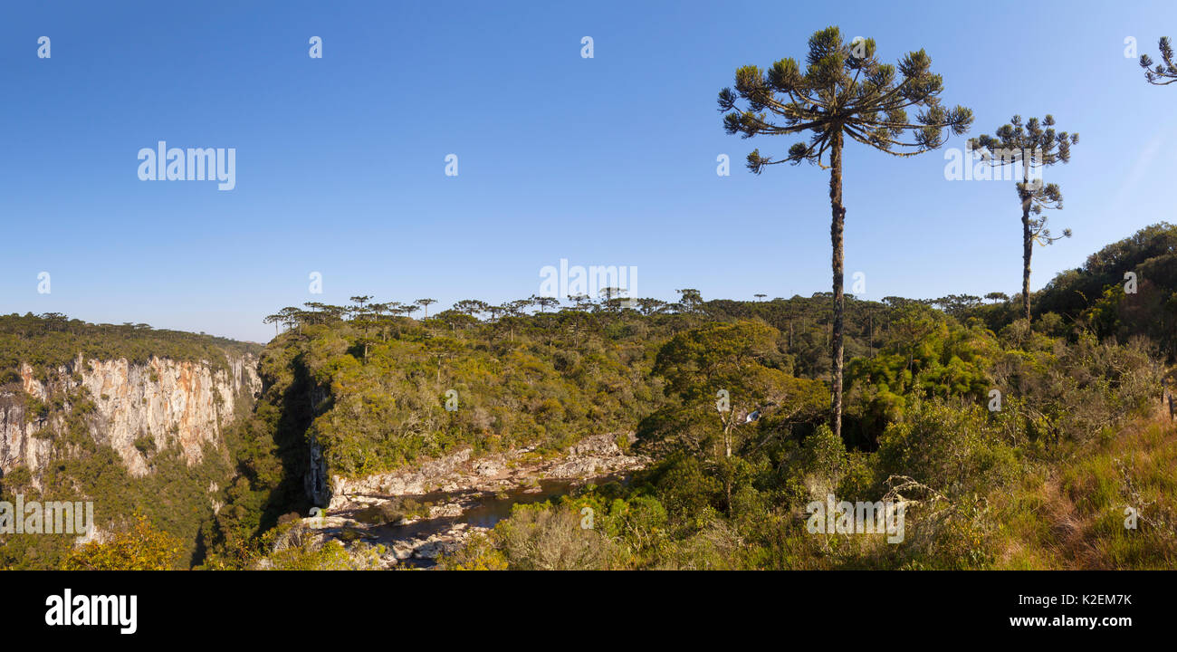 Aparados da Serra National Park. Rio Grande do Sul, Brazil Stock Photo