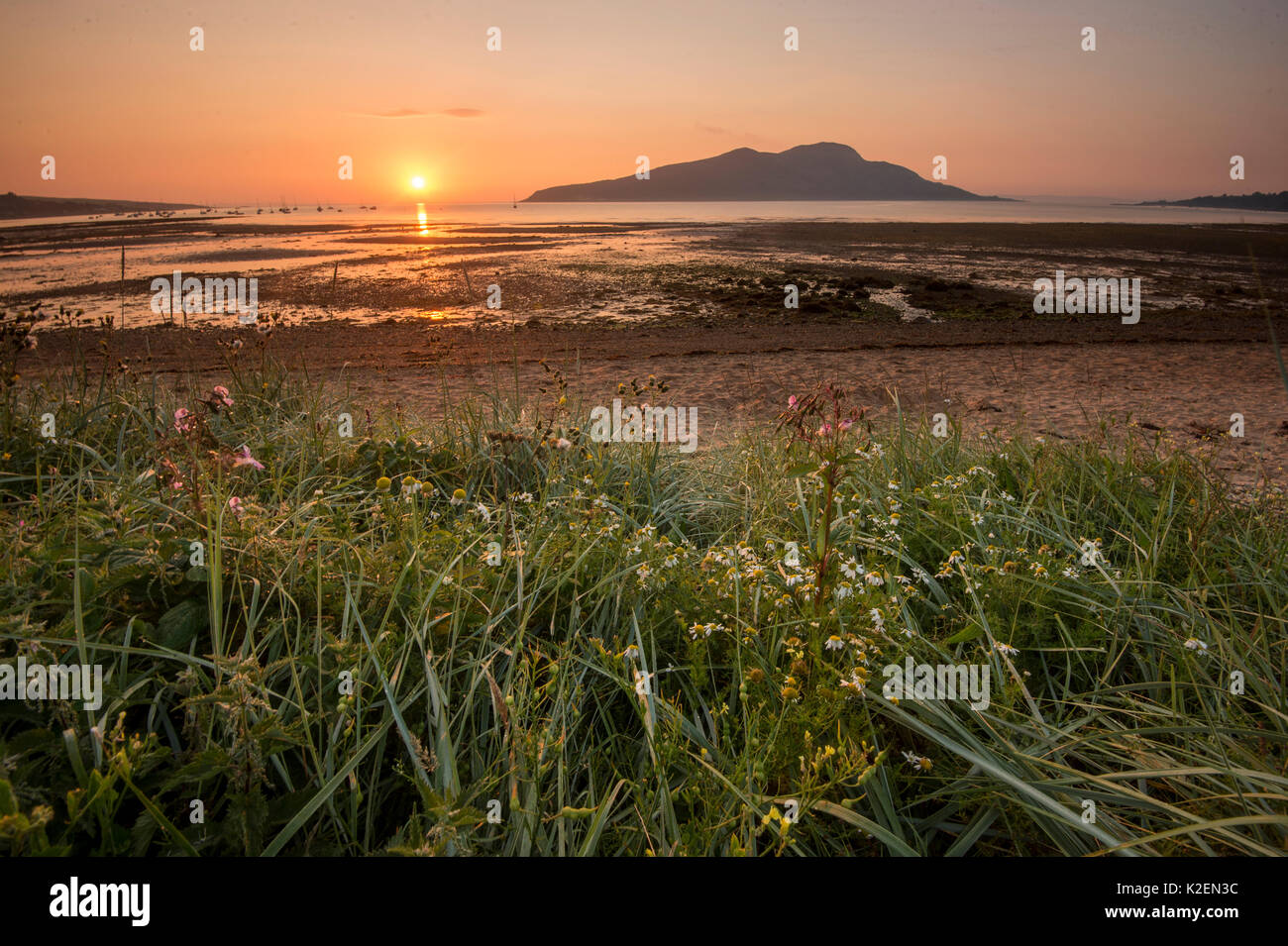 Sunrise over Lamlash Bay and the no take zone, South Arran Marine Protected Area, Isle of Arran, Scotland, UK, August. Stock Photo