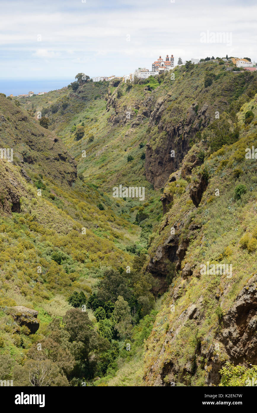 Moya village, perched on clifftop above Moya ravine, Doramas Rural Park, Gran Canaria, Canary Islands, June 2016. Stock Photo