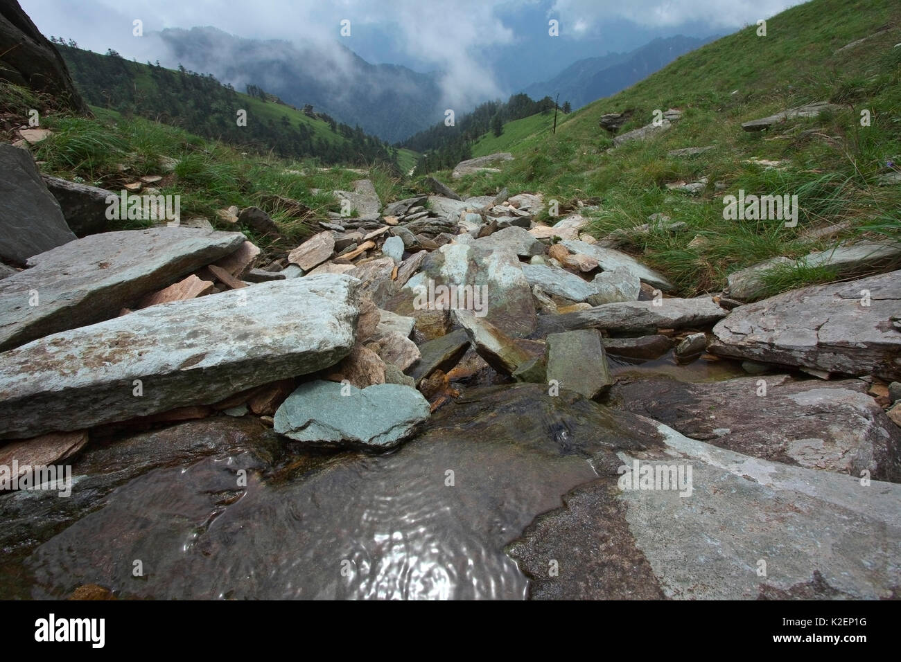 Mountain stream flowing through rocks, Tangjiahe National Nature Reserve, Qingchuan county, Sichuan Province, China. August 2009 Stock Photo