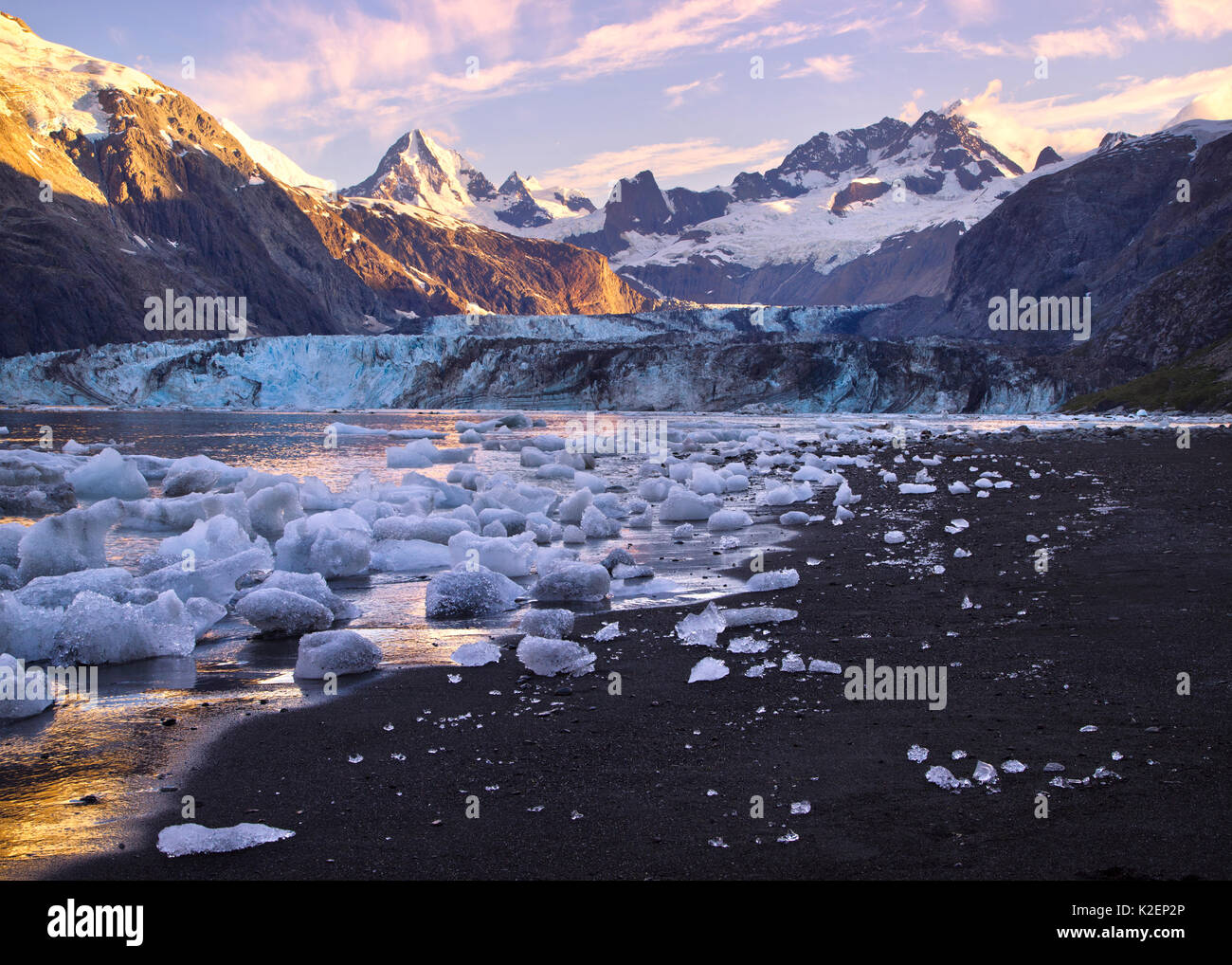 Icebergs collecting at low tide on a black sand beach at the head of the Johns Hopkins Inlet, with a view of the Johns Hopkins Glacier and the Fairweather Mountains, Glacier Bay National Park, Alaska, USA, August 2014. Stock Photo