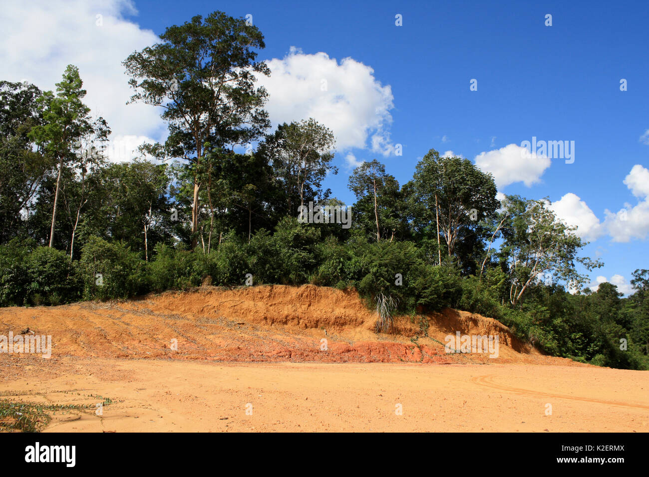 Loss of topsoil in deforested land, Central Kalimantan, Indonesian