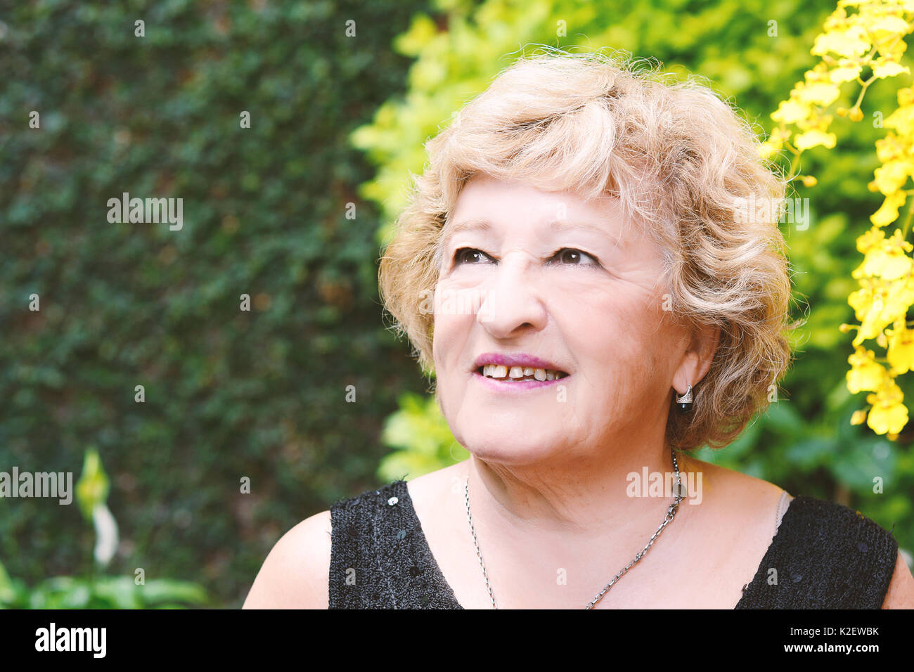Elderly woman outdoors hi-res stock photography and images - Alamy