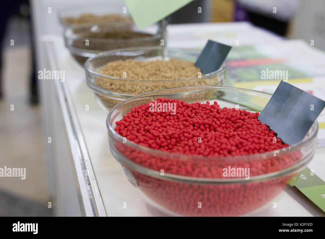 Different modified agricultural millet in the glass saucer
