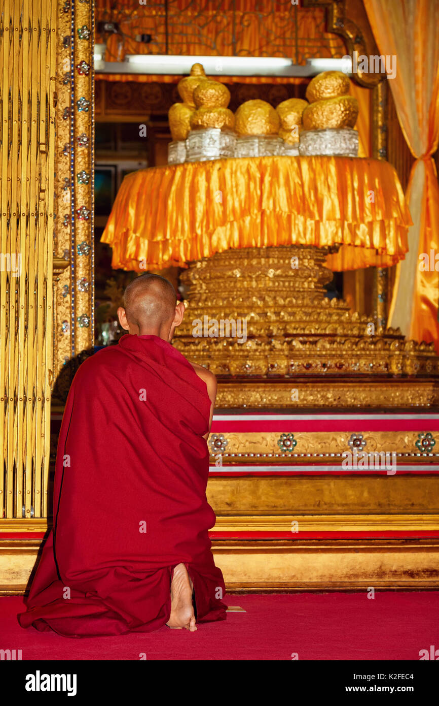 Monk praying in front of shrine with sacred Buddha figures covered by gold leaves in buddhist temple Hpang Daw U on Inle lake in Myanmar. Stock Photo