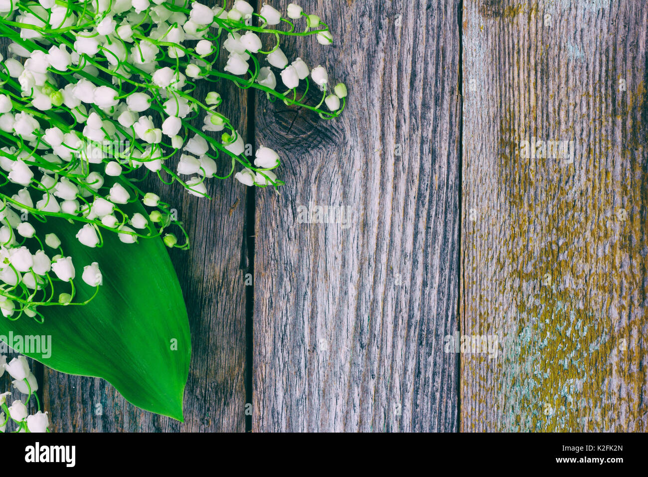 Background Of The Old Wooden Barn Boards With Forest Flowers