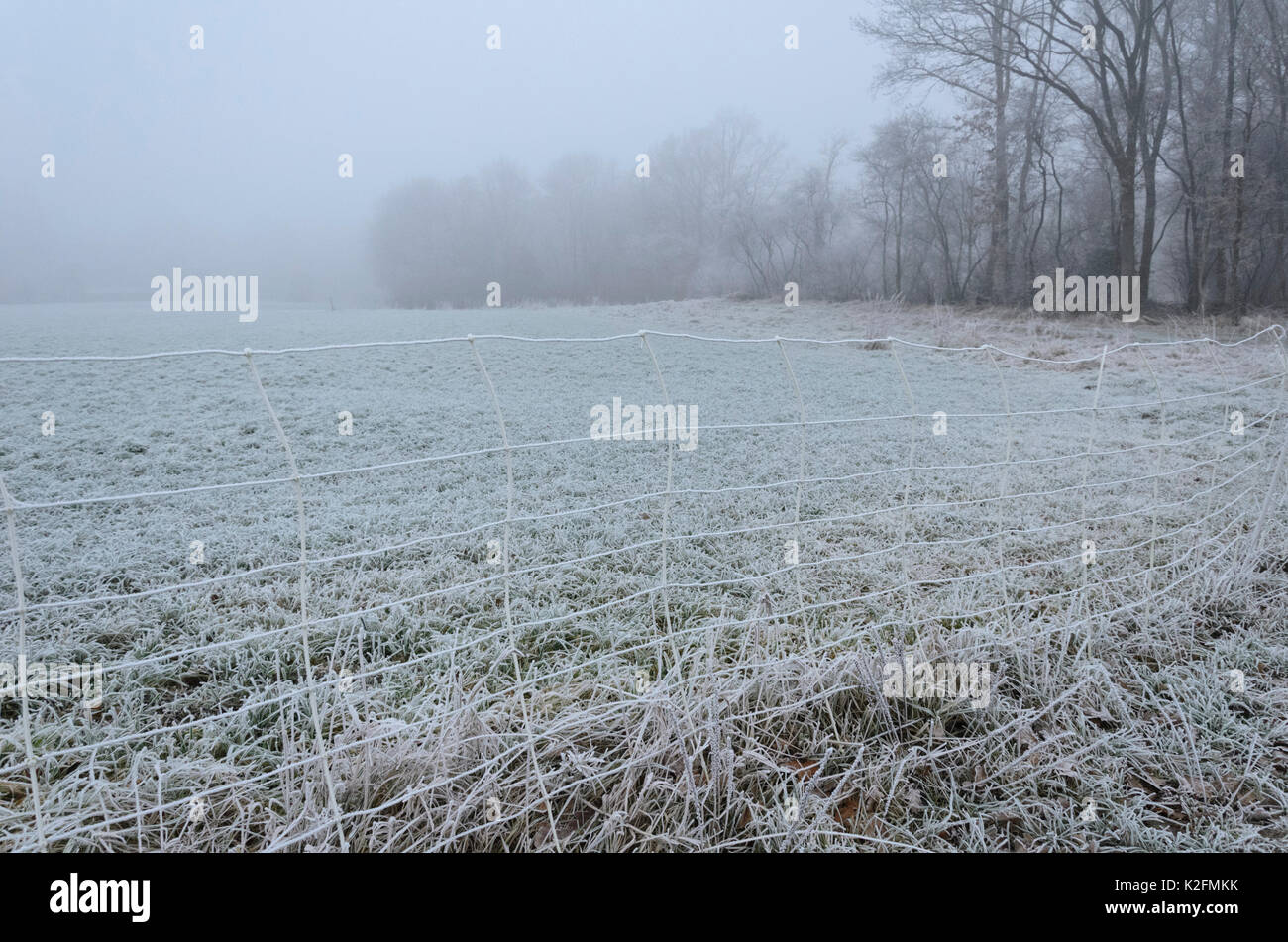 Fenced field with hoar frost Stock Photo