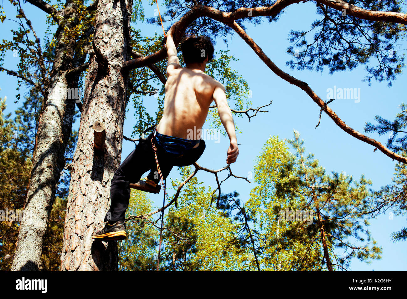 Young man hanging on branch hi-res stock photography and images - Alamy