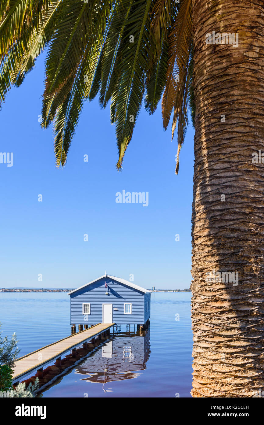 Palm tree framed Crawley Edge Boatshed also known as the Blue Boat House on the Swan River in Matilda Bay, Crawley, Perth, Western Australia Stock Photo