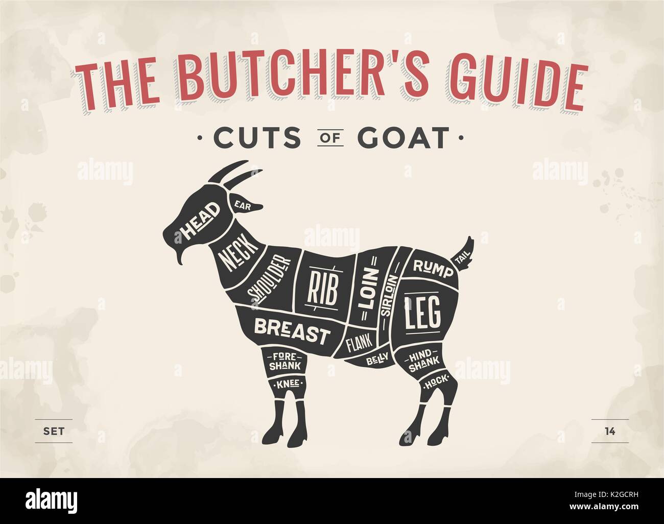 Cut of meat set. Poster Butcher diagram, scheme - Goat Stock Vector