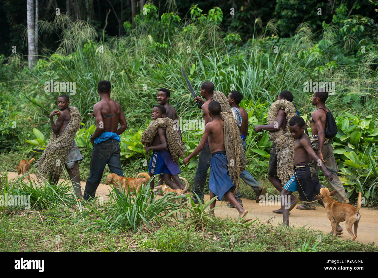 Pygmies congo hi-res stock photography and images - Alamy