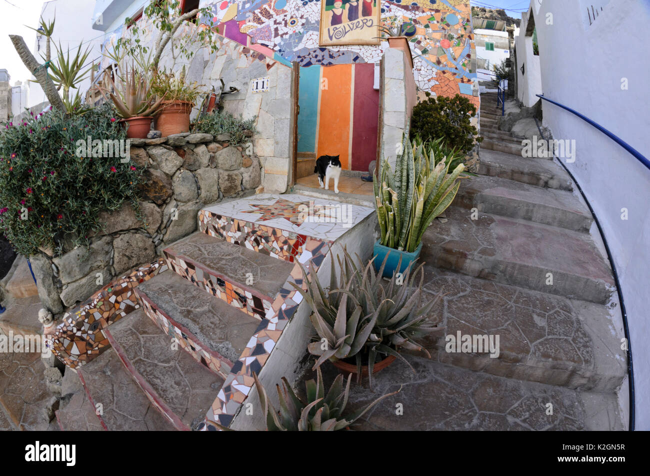 Container garden in a lane, Puerto de Mogán, Gran Canaria, Spain Stock Photo