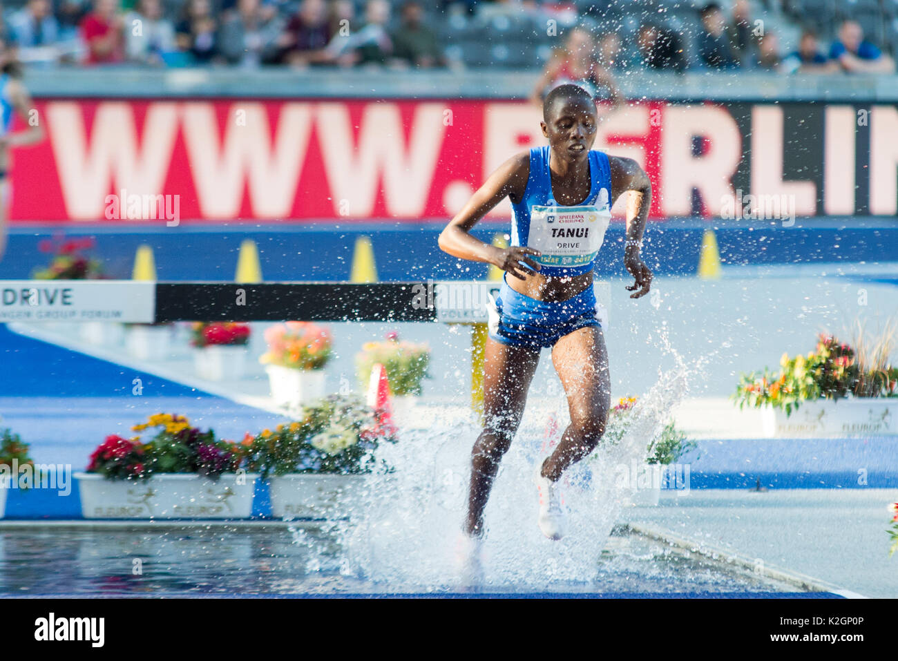 Girls Compete in the 3.000 Meter Steeplechase Editorial Photography - Image  of field, hurdling: 27928382
