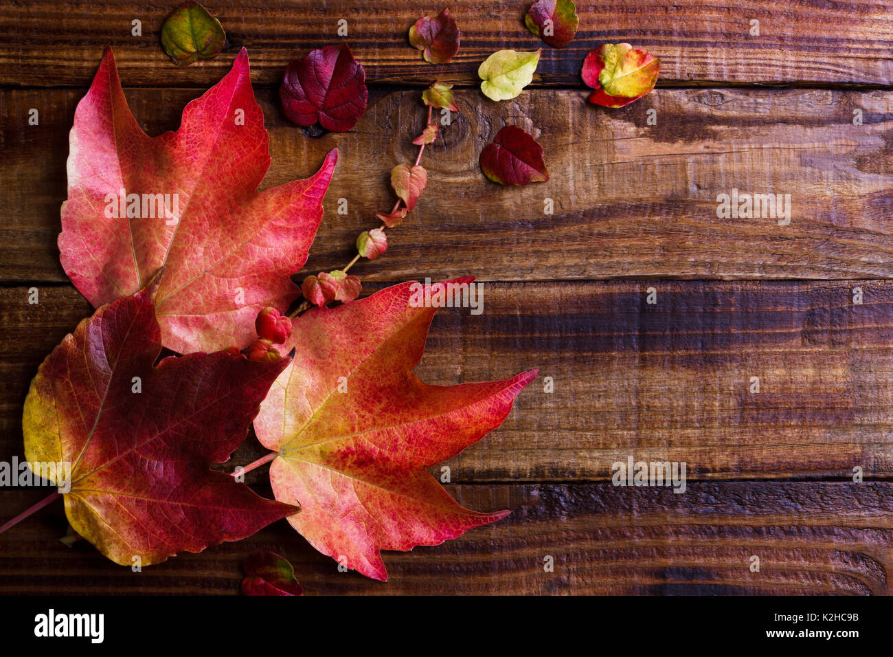 Autumn leaves over dark wooden vintage background with copy space Stock ...
