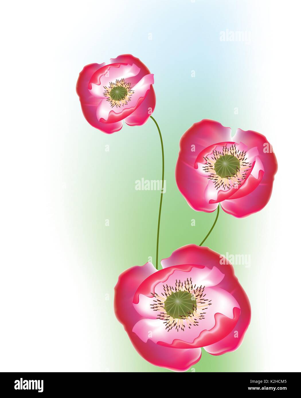 Beautiful blossom red poppies Stock Vector Image & Art - Alamy